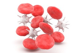 Choroby autoimmunologiczne