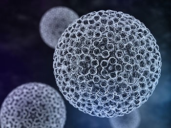 hpv wirus