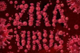 Wirus zika ( virus zica ) -  objawy 