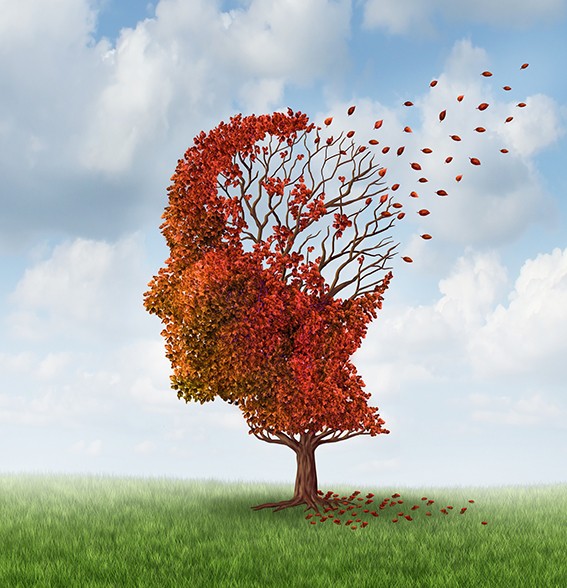 choroba alheimera diabetolog