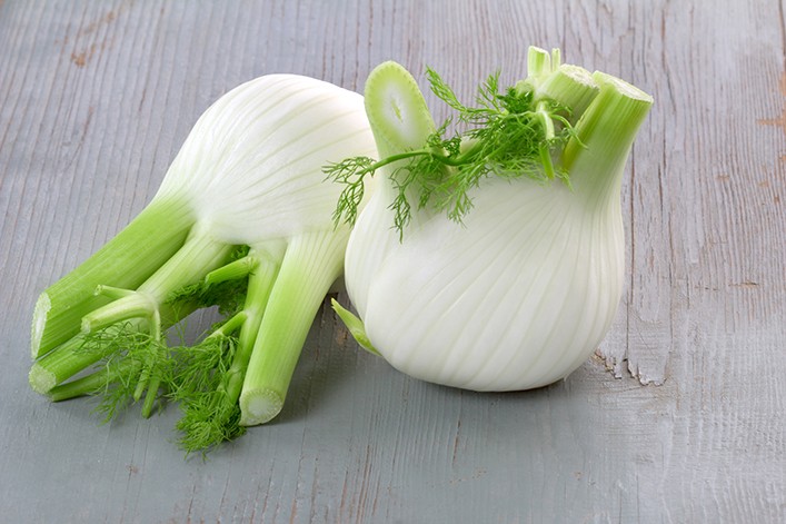 gastrolog koper włoski