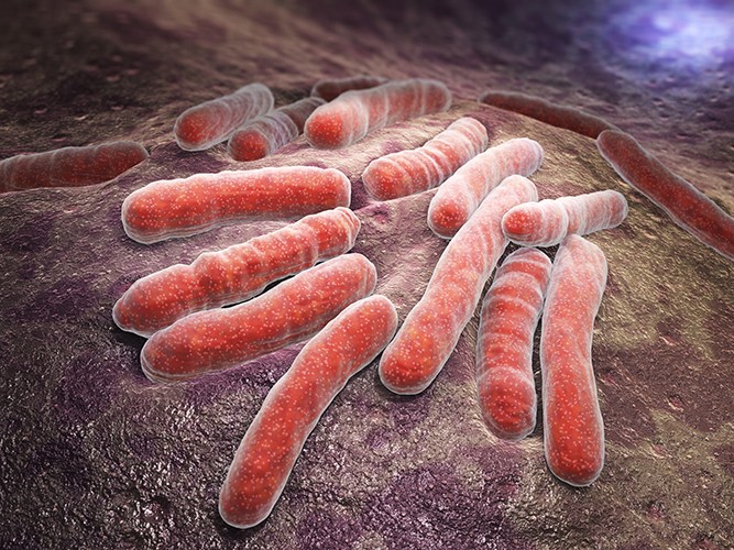 dermatolog