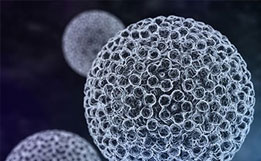 HPV, wirus brodawczaka ludzkiego